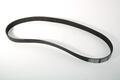 Alfa Romeo  Auxiliary Belt. Part Number 46356061