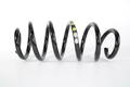 Alfa Romeo Giulia Springs. Part Number 50539300